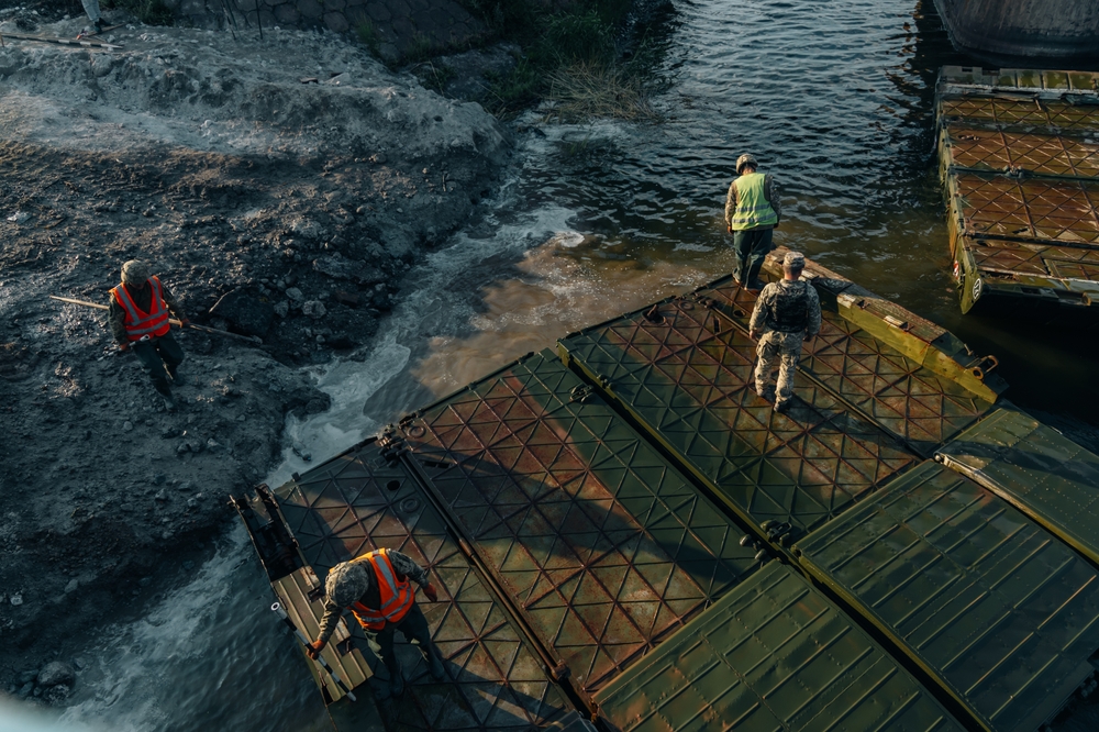 credit: deniska_ua / Shutterstock.com